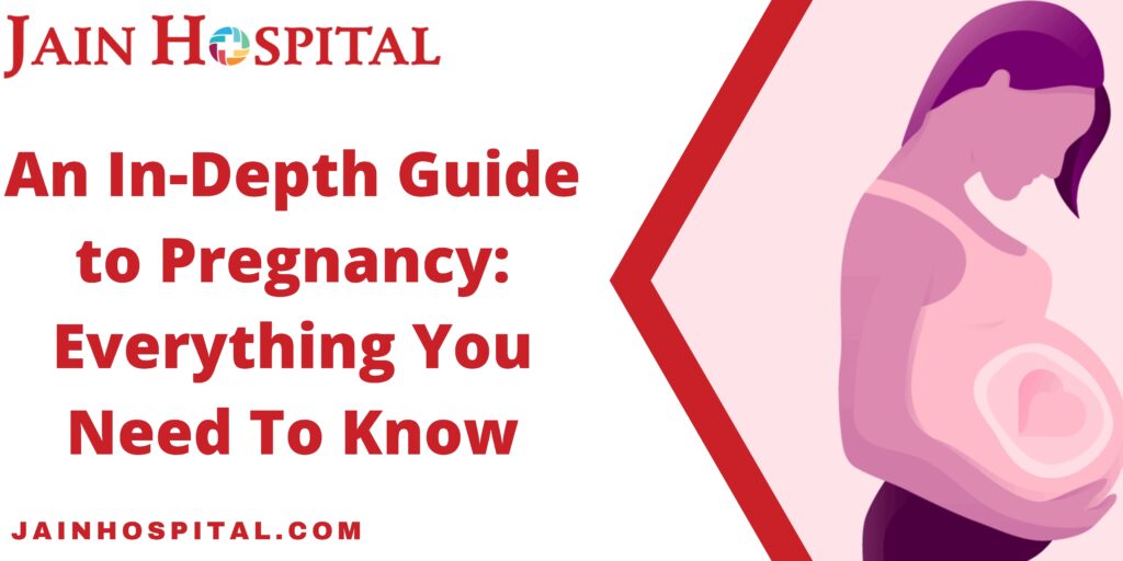 An In-Depth Guide to Pregnancy: Everything You Need To Know