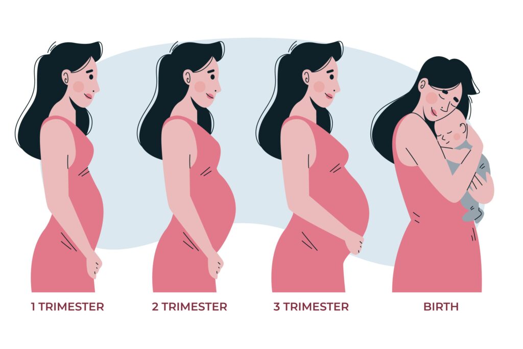 pregnancy