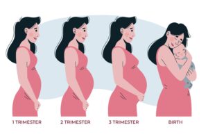 pregnancy