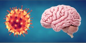 Impact Of Covid on The Brain