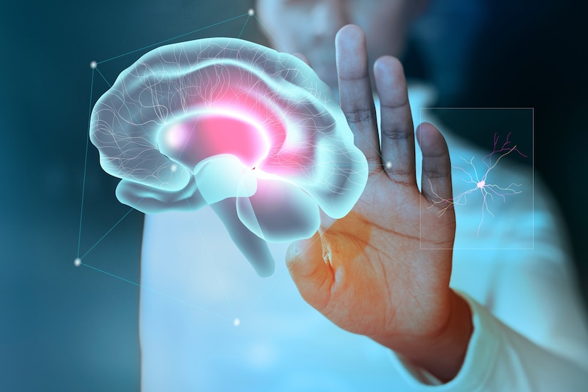 You are currently viewing A Concise Introduction To Neurology