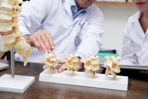 Read more about the article How To Prevent Spine Problems?