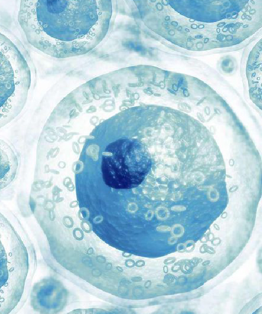 Jain Hospital Blastocyst Culture.
