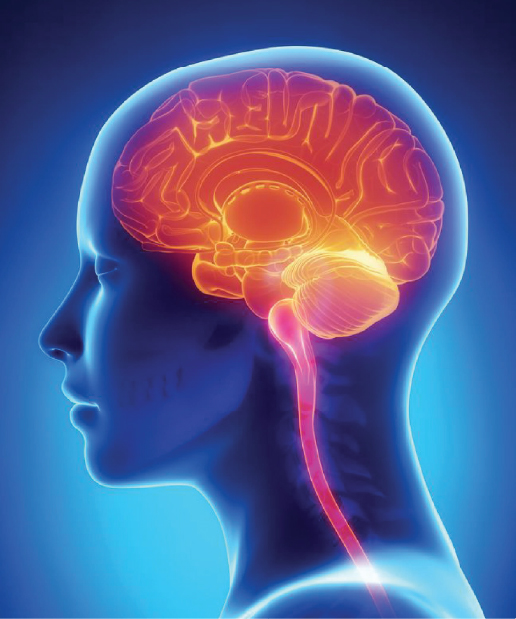 Jain Hospital Brain Mri