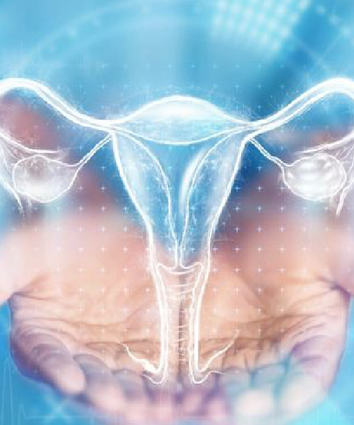 Jain Hospital Hysterosalpingography