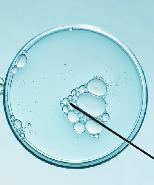 Jain Hospital IVF, ICSI