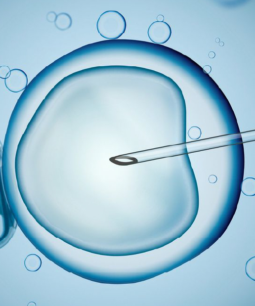 Jain Hospital Infertility Evaluation