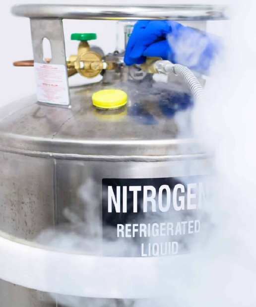 Embryo Freezing