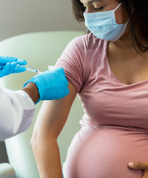 Immunisation in Pregnancy