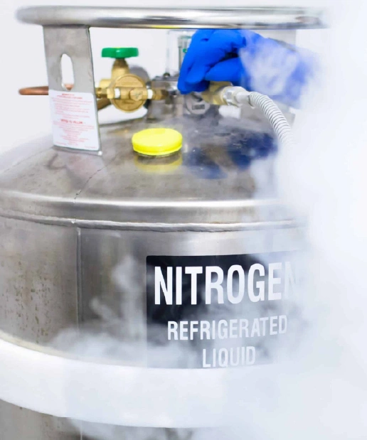 Embryo Freezing
