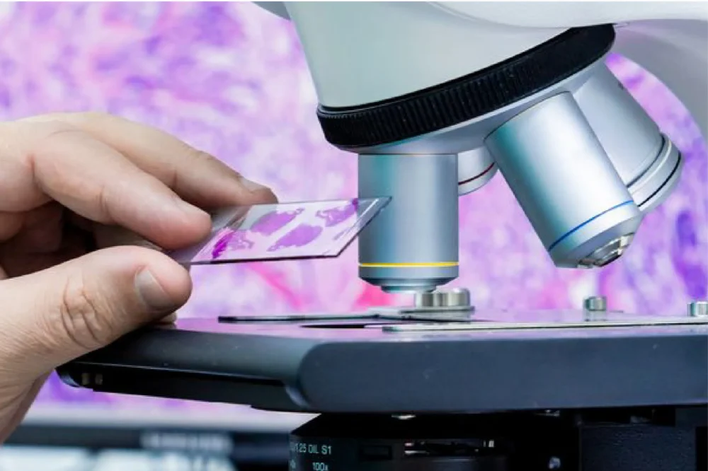 Histopathology & Cytology