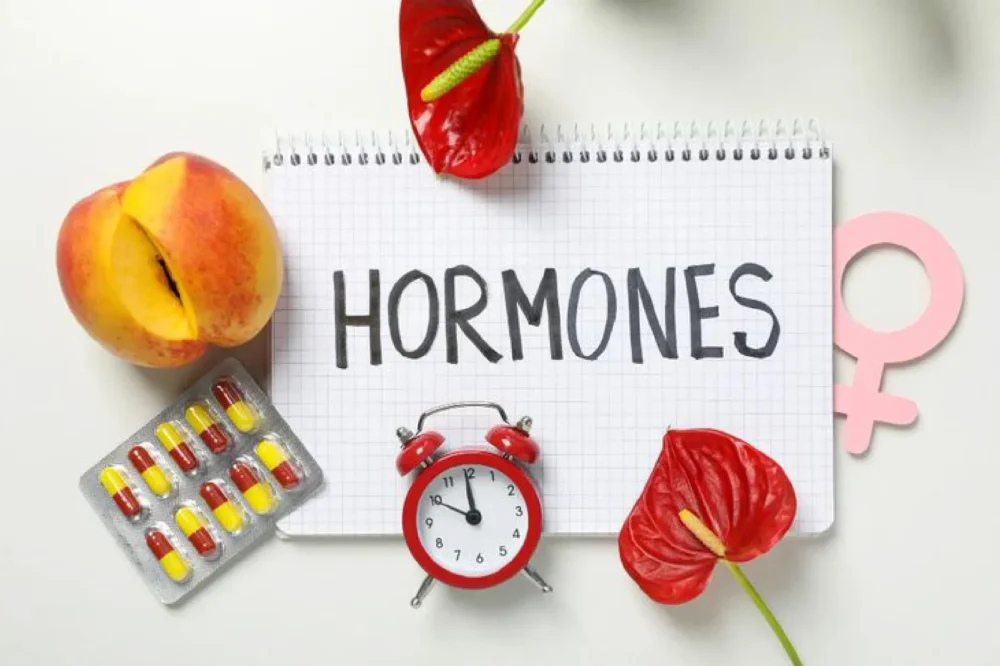 Hormones & Endocrinology