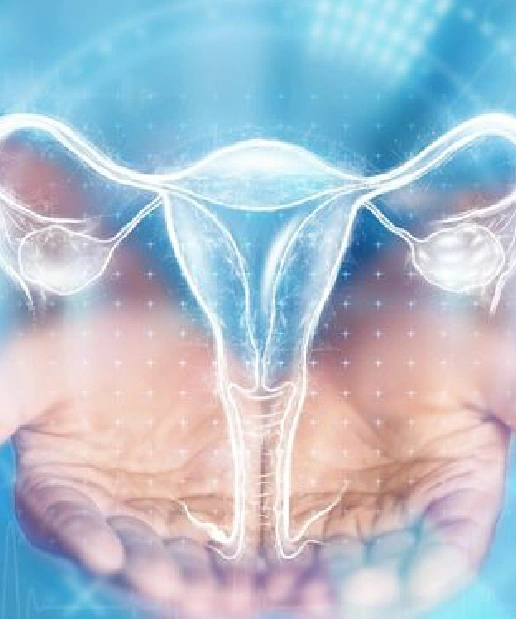 Hysterosalpingography (HSG)