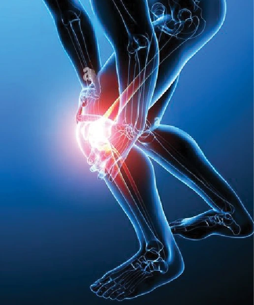 MRI Joint & Musculoskeletal