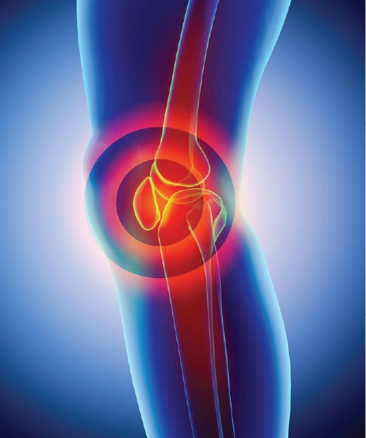 Bone & Joint Diseases (1)