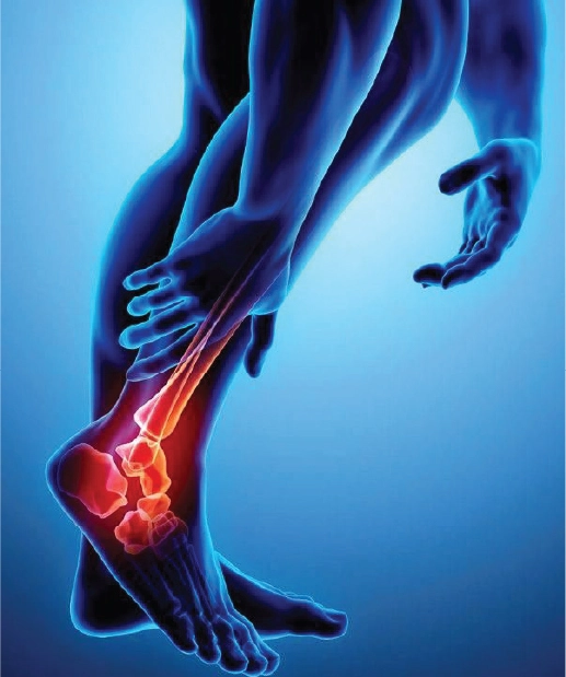 Fractures & Trauma (1)