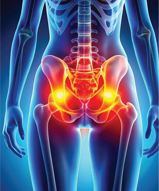 Knee & Hip